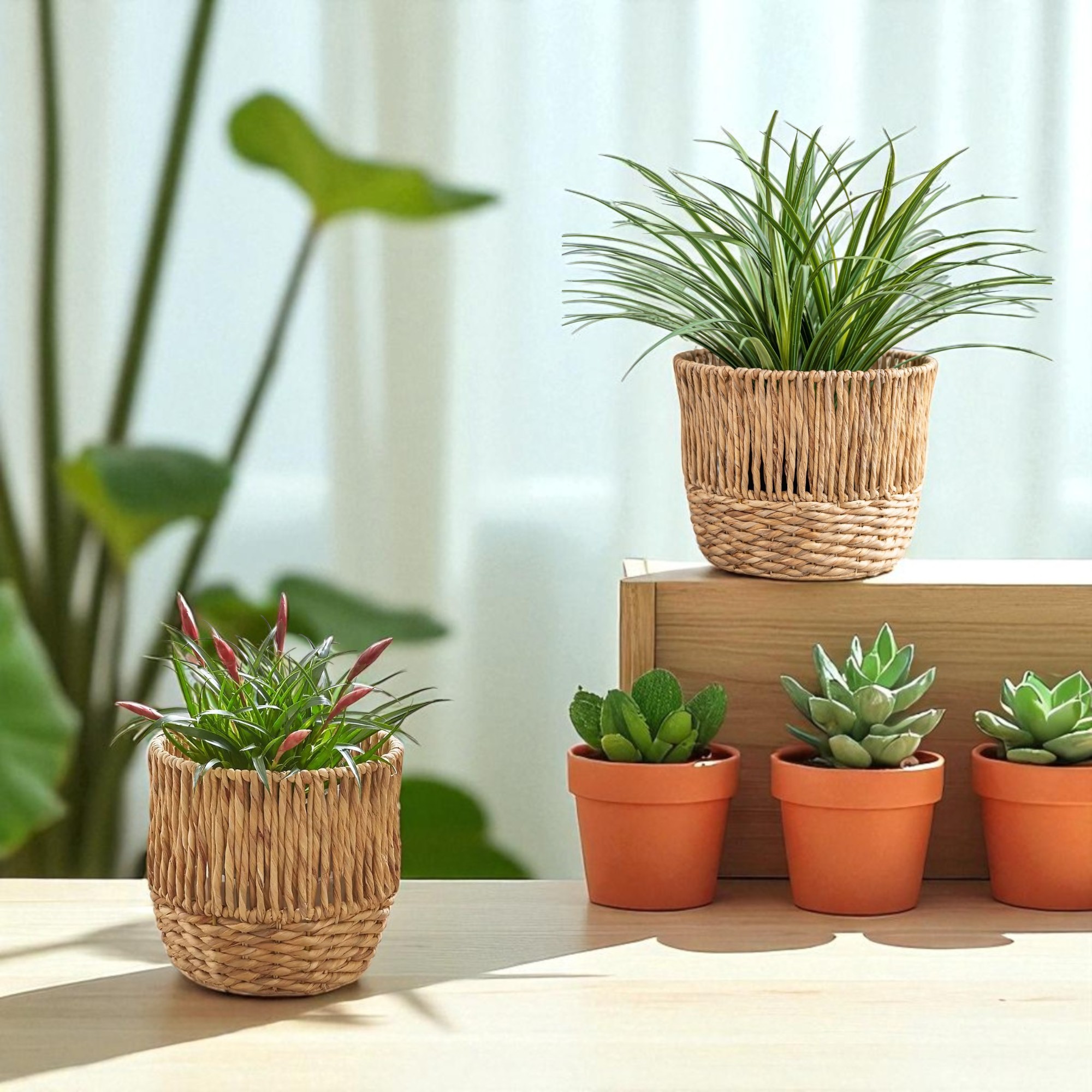 CAPRI-3 Hyacinth Artisan Round Basket Planter(s) - Image 2