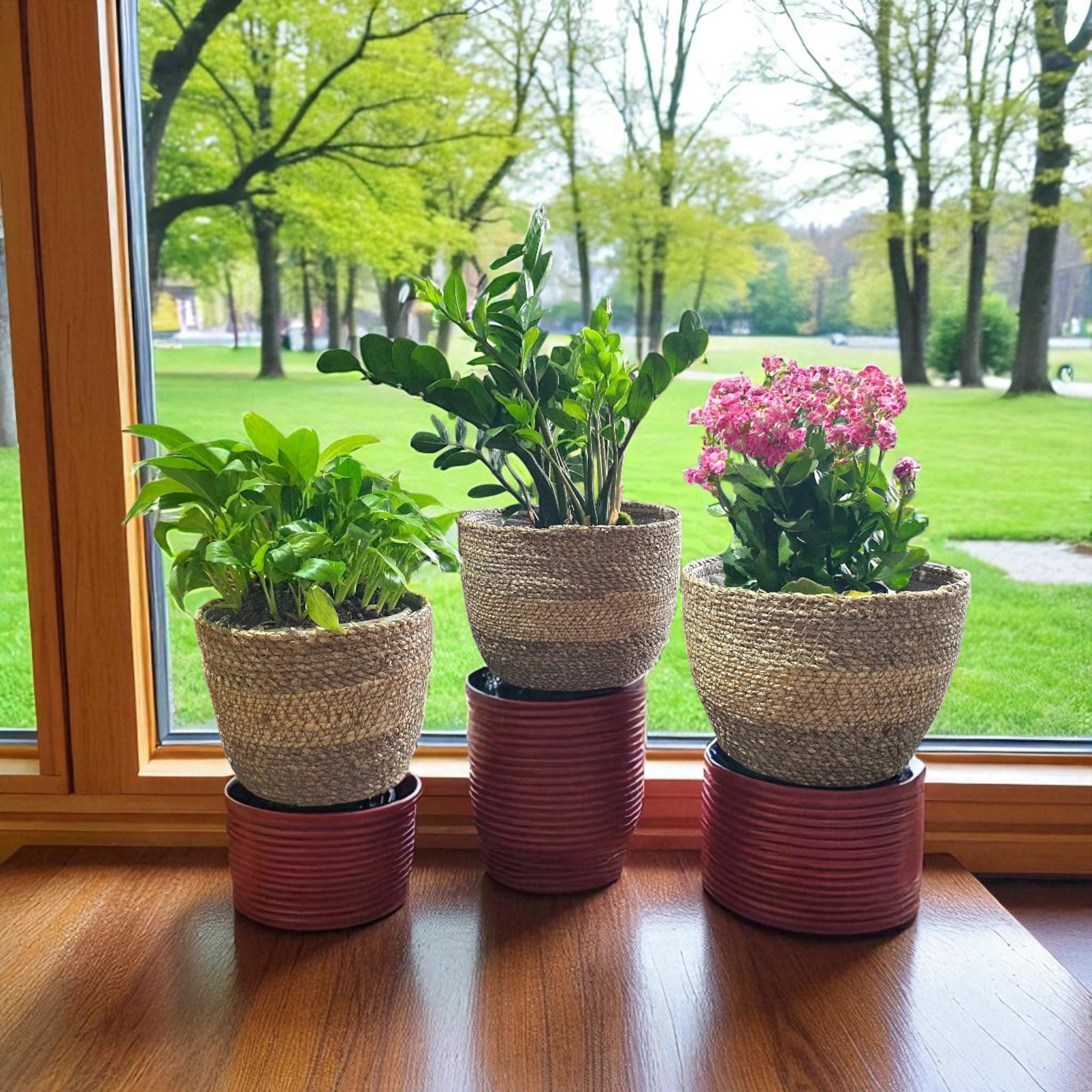 CAPRI-4 Seagrass Two-toned Round Basket Planter (Set 3)