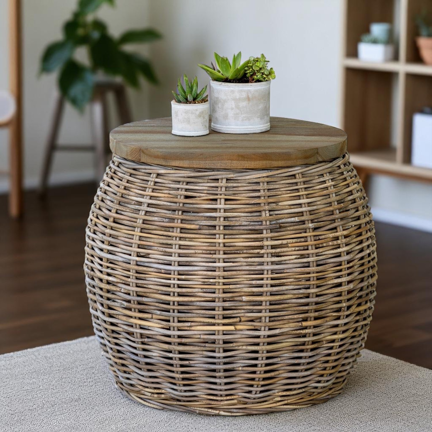 IBIZA-5 Rattan Storage Side & End Table - Image 3