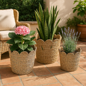 CAPRI-4 Seagrass Scalloped Basket Planters (Set 5)