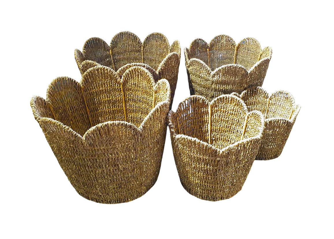 CAPRI-4 Seagrass Scalloped Basket Planters (Set 5) - Image 6