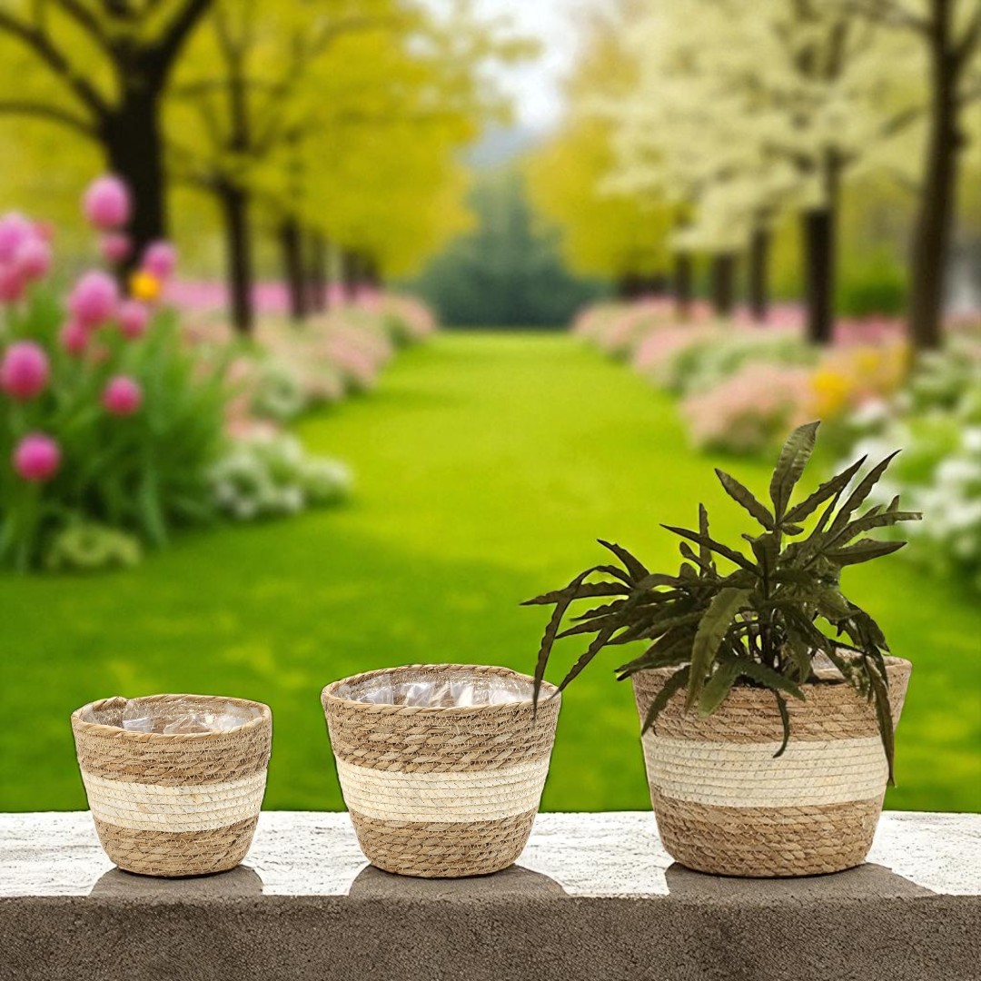 CAPRI-4 Seagrass & Corn Stalk Round Basket Planters (Set 3) - Image 2